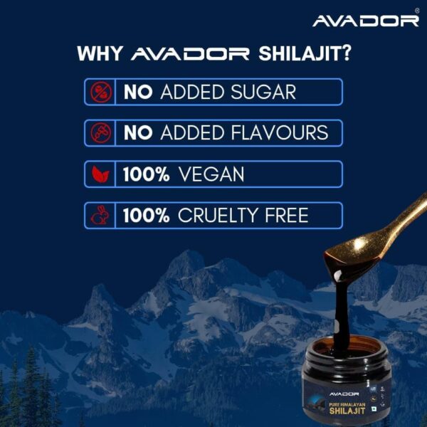 AVADOR 20 Grams Himalayan Shilajit Resin 20gm 0.7oz with 85+ Trace Minerals High Fulvic Acid - Image 5